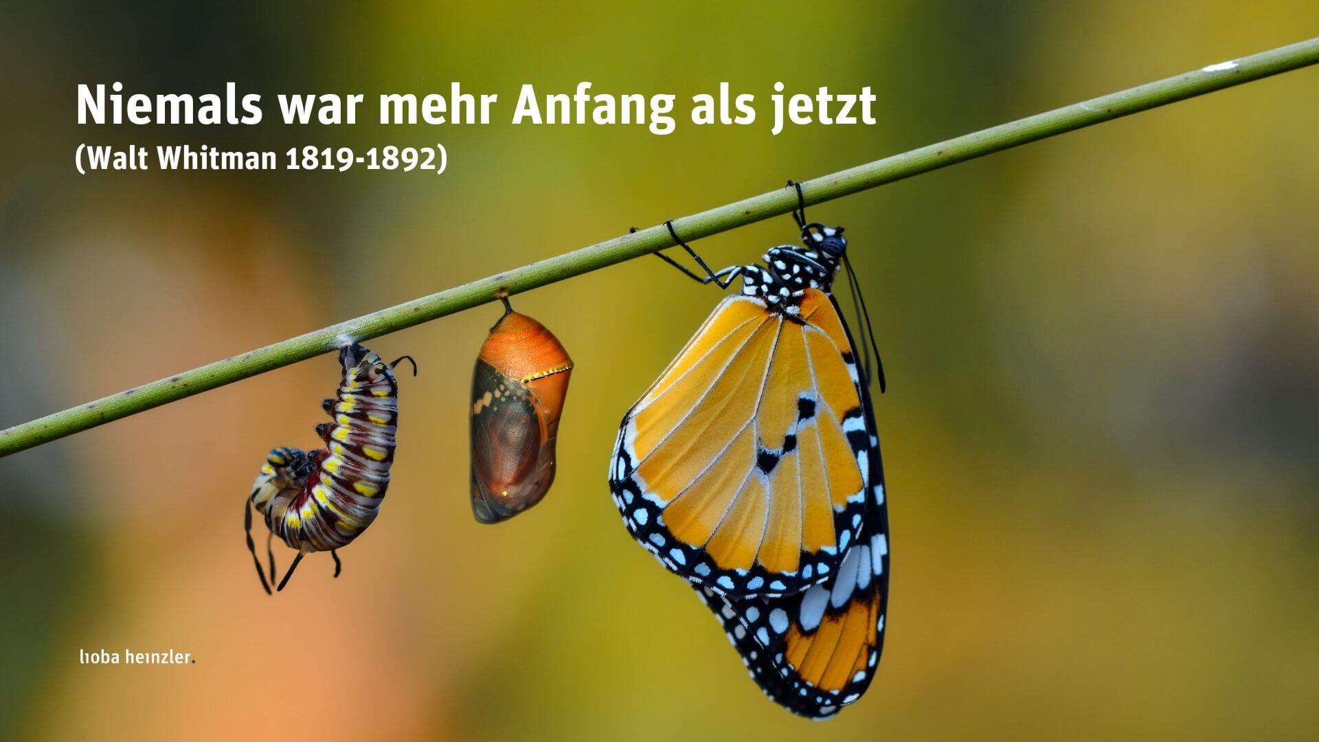2026 Neujahrsgruss Lioba Heinzler