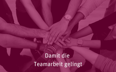 [017] Damit die Teamarbeit gelingt